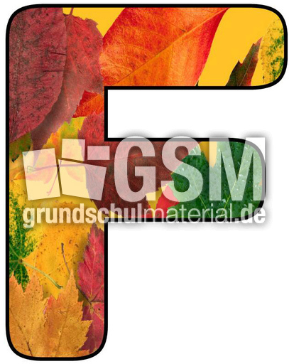 Herbstbuchstabe-5-F.jpg